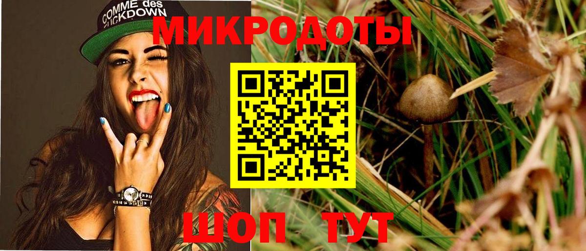 что такое наркотик  Галлюциногенные грибы MAGIC MUSHROOMS  Чапаевск  Вход с VPN  Псилоцибиновые грибы прущие грибы 