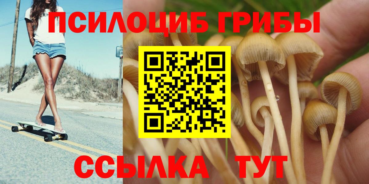 Псилоцибиновые грибы ЛСД Чапаевск